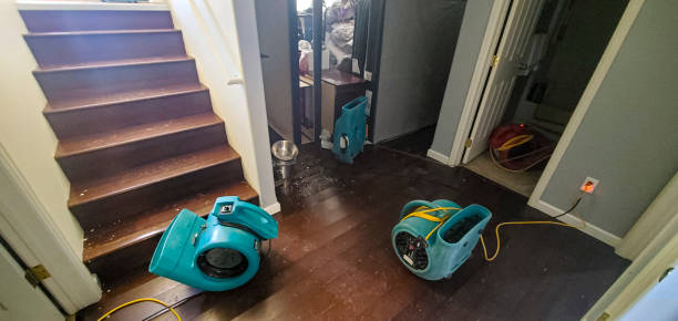 Best Water damage contractors near me  in Bloomington, TX
