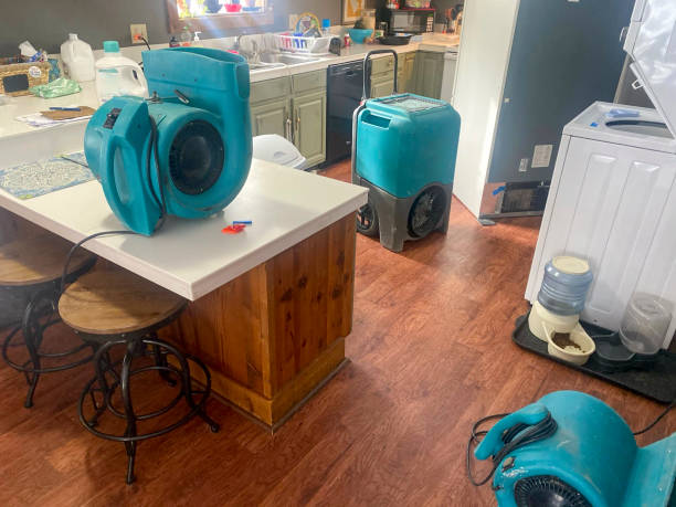 Best 24/7 water damage repair  in Bloomington, TX