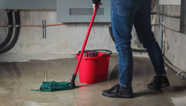 Best Water damage restoration near me  in Bloomington, TX