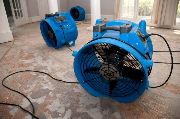 Best Water damage repair service  in Bloomington, TX