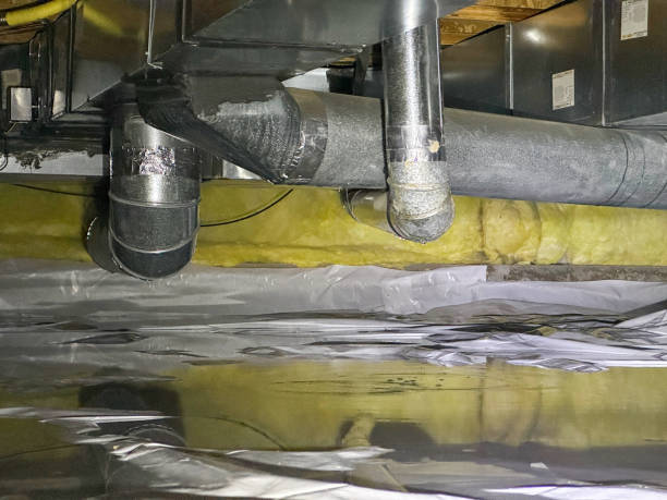 Best Carpet water damage restoration  in Bloomington, TX
