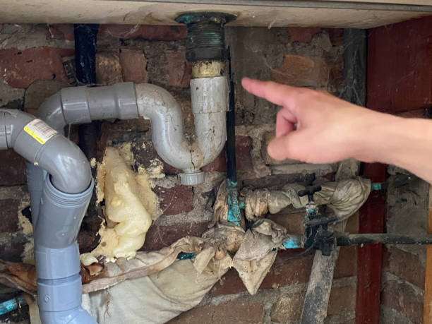 Best Sewage cleanup and water damage restoration  in Bloomington, TX