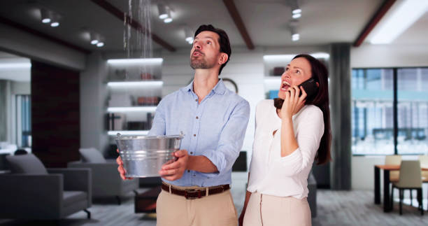 Best Fire Damage Restoration  in Bloomington, TX
