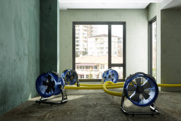 Best Residential water damage restoration  in Bloomington, TX